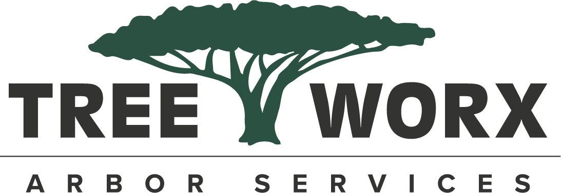 TreeWorx logo
